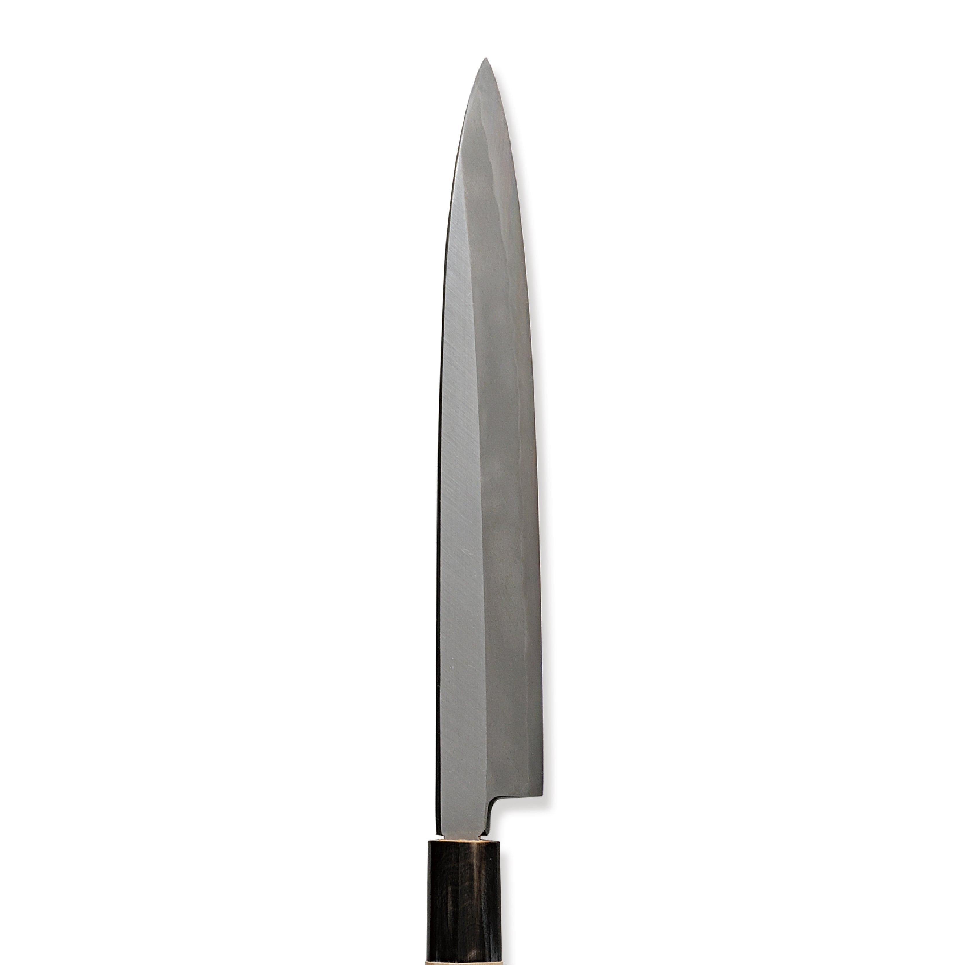 Shirogami No.2 Yanagi / S210mm - 300mm