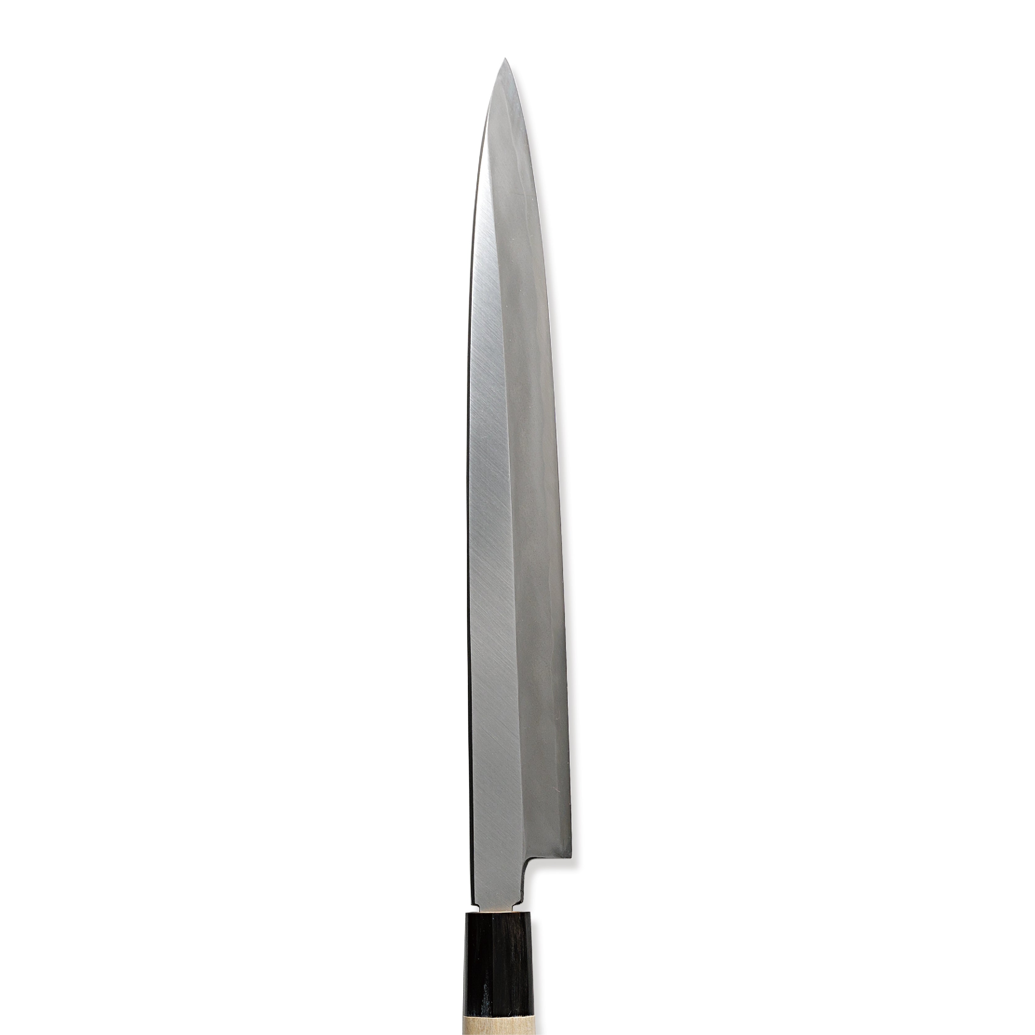 Shirogami No.3 Yanagiba / 210mm - 300mm