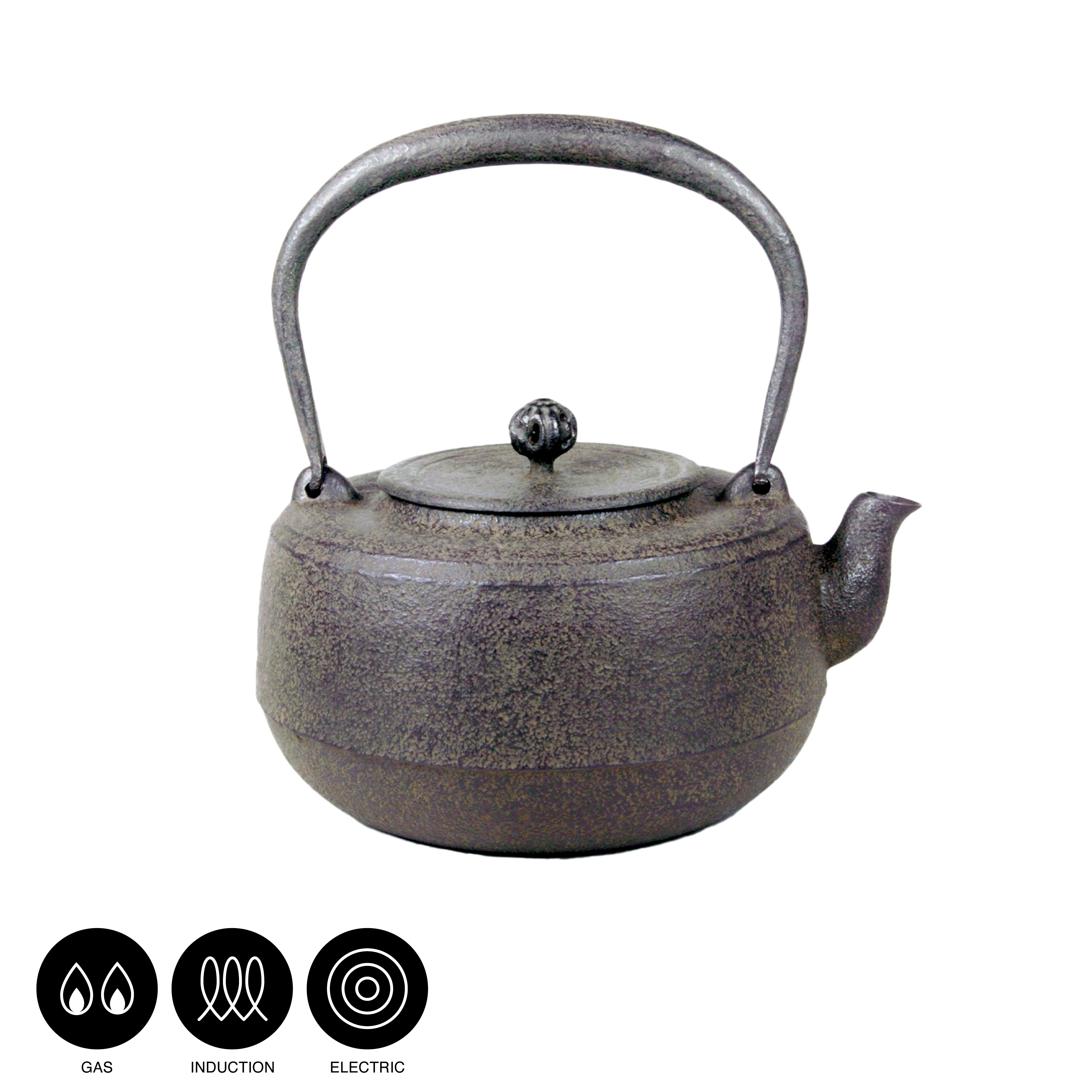 Iron kettle - CHUBEI KOMA HADA -