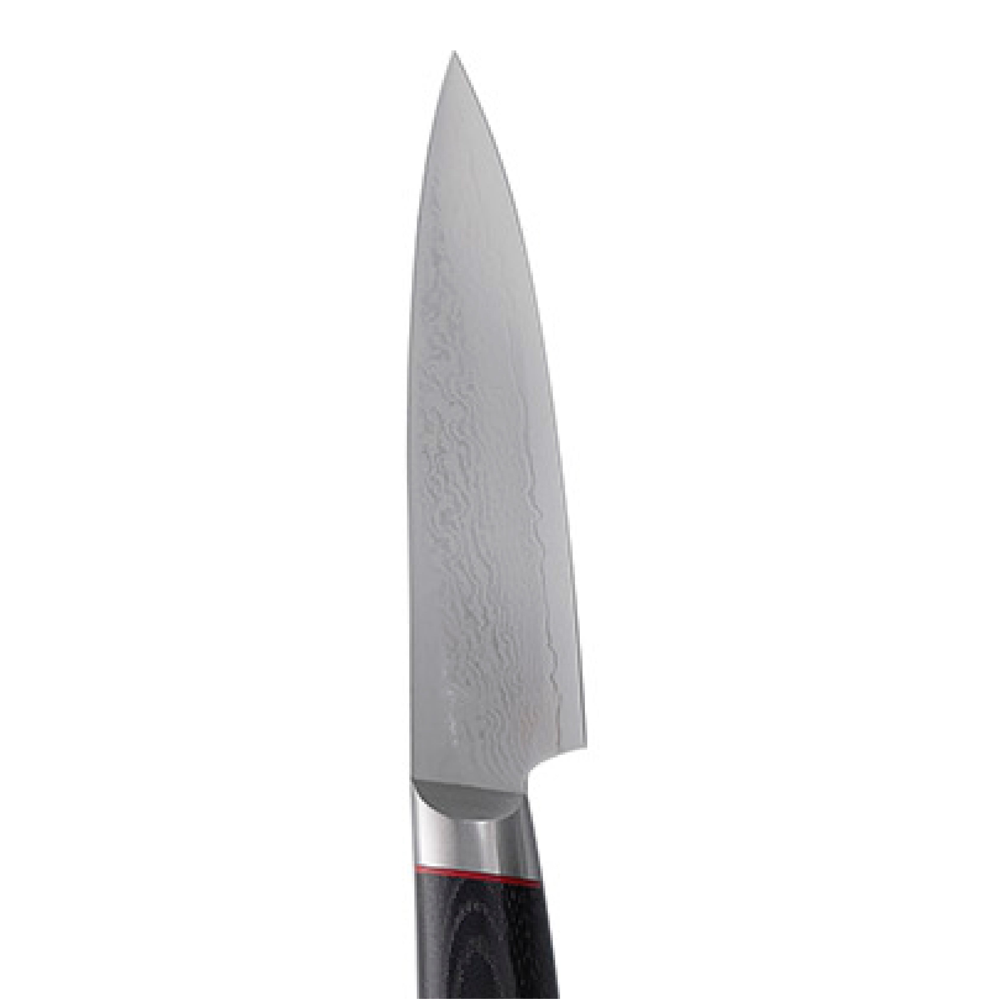 SEKIKANETSUGU Saiun VG10 Paring knife