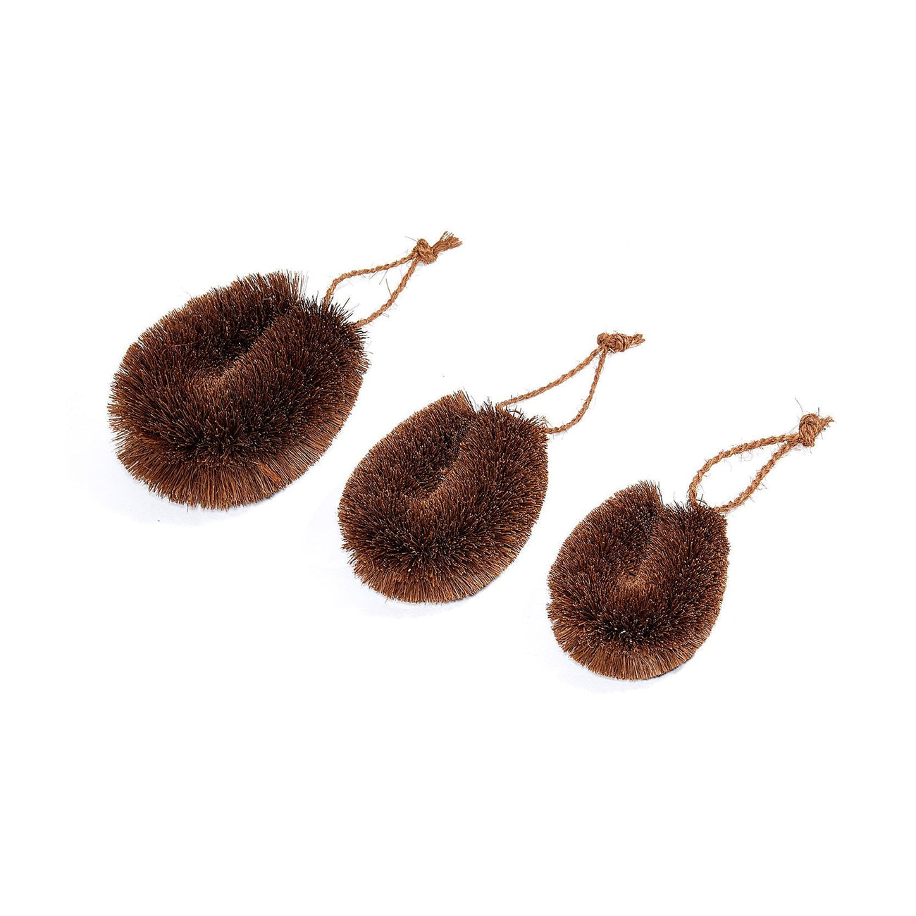 しゅろのやさしいたわし